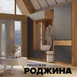 Прихожая Роджина