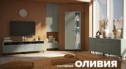  Модульная система Оливия